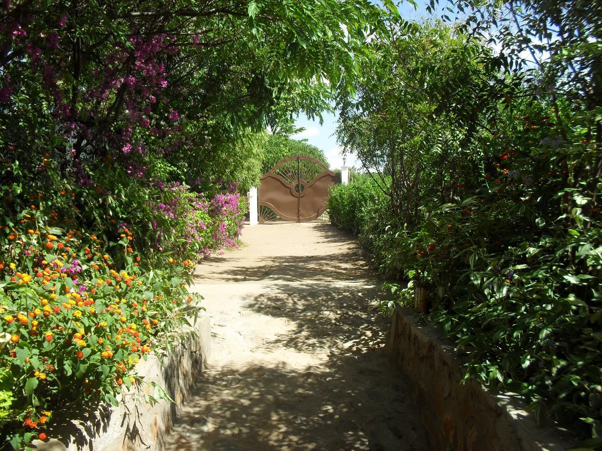 Longido Mountain Lodge المظهر الخارجي الصورة